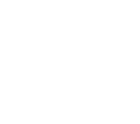 Salomon Forces
