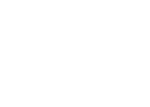 Swarovski Optik