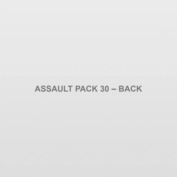 Assault Pack 30 – back (placeholder image)